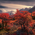 The Fall colors in Patagonia